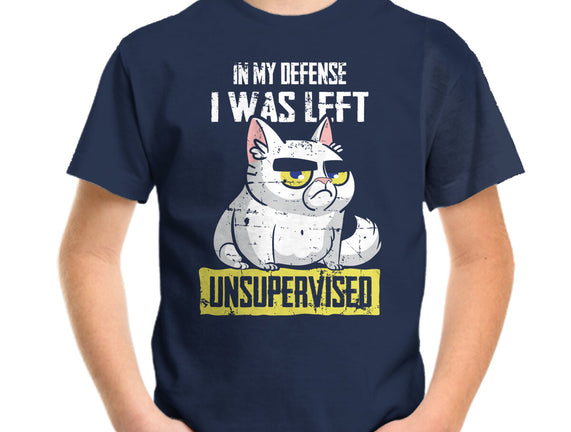 Unsupervised