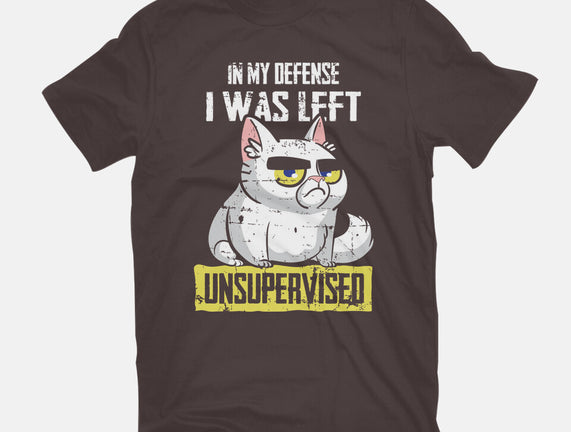 Unsupervised