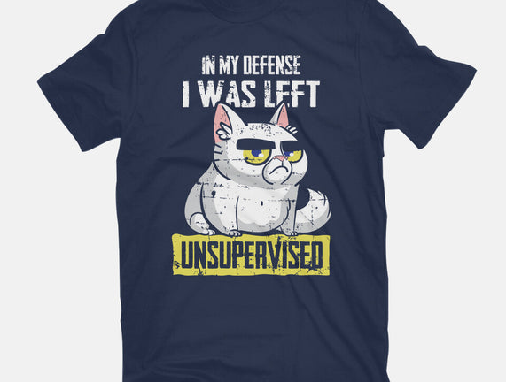 Unsupervised