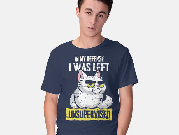 Unsupervised