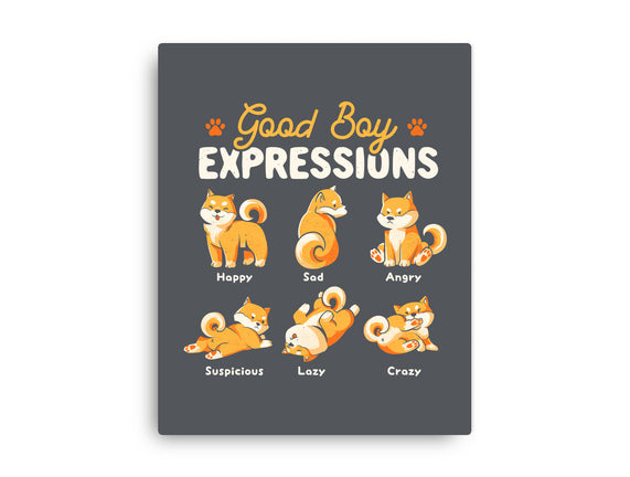 Good Boy Expressions