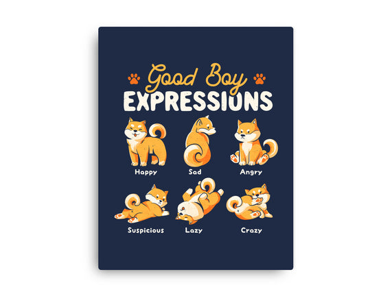 Good Boy Expressions