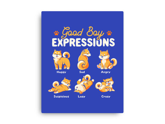Good Boy Expressions