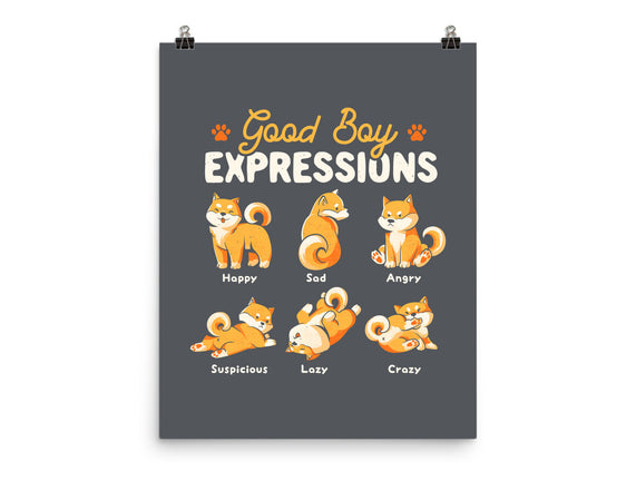 Good Boy Expressions