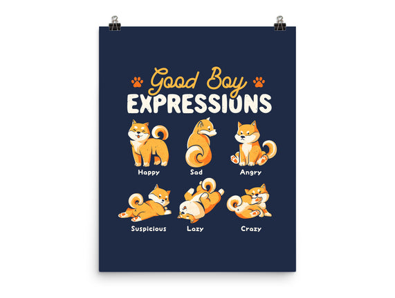 Good Boy Expressions