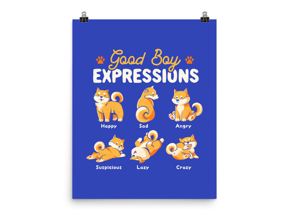 Good Boy Expressions