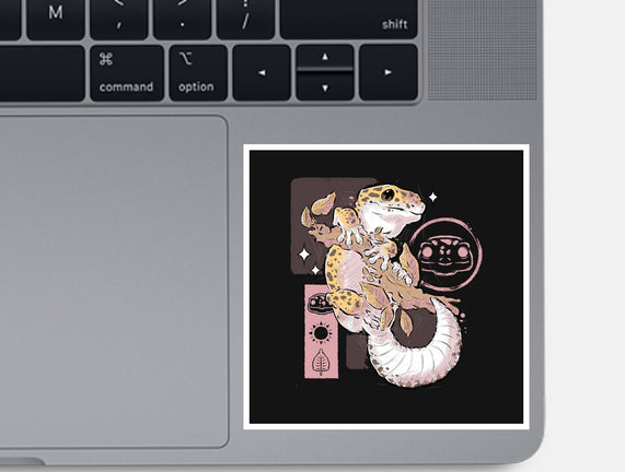 Leopard Gecko