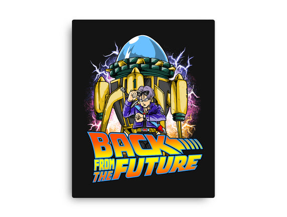 Back From The Future