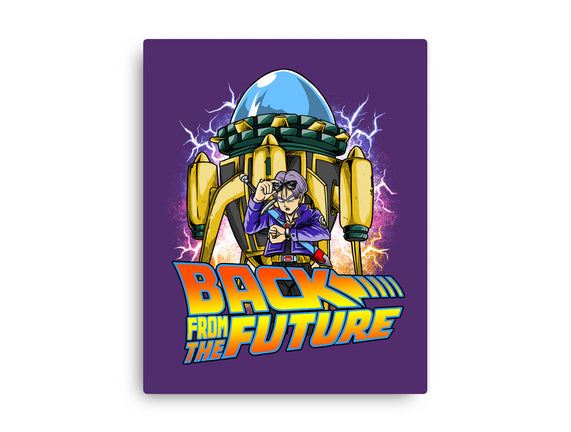 Back From The Future