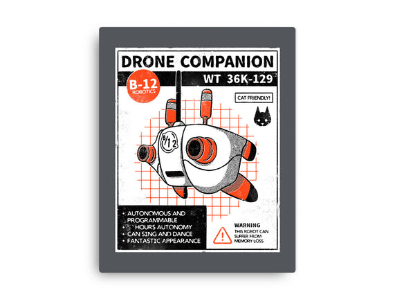 Drone Companion