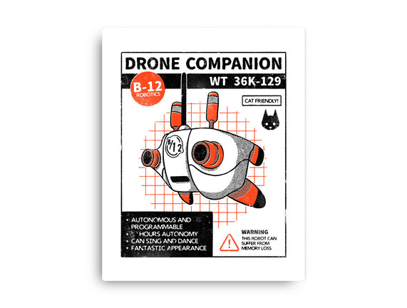 Drone Companion