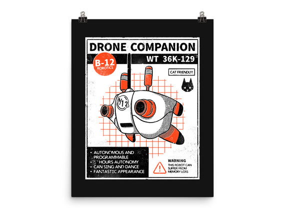 Drone Companion