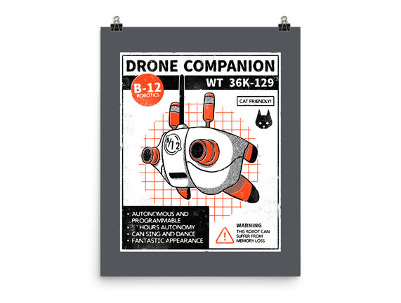 Drone Companion