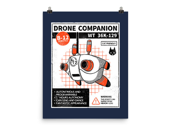 Drone Companion