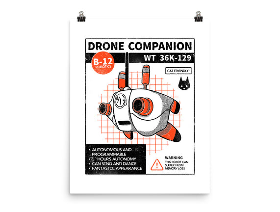 Drone Companion