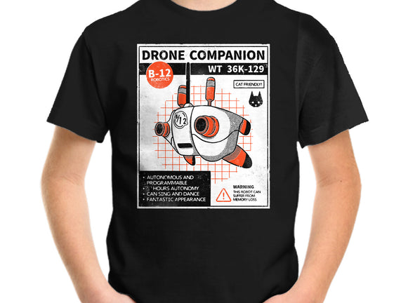 Drone Companion