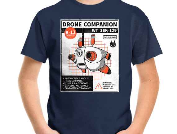 Drone Companion