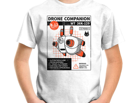 Drone Companion
