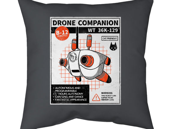 Drone Companion