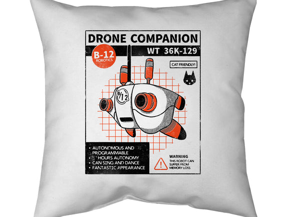 Drone Companion