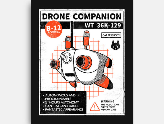 Drone Companion