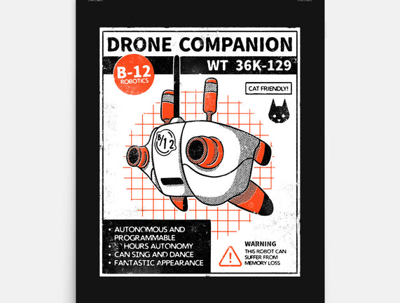 Drone Companion