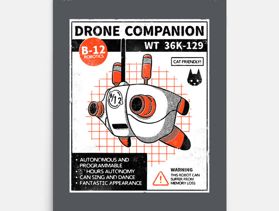 Drone Companion