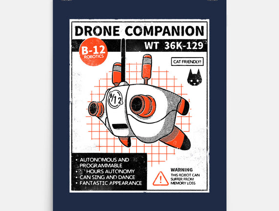 Drone Companion