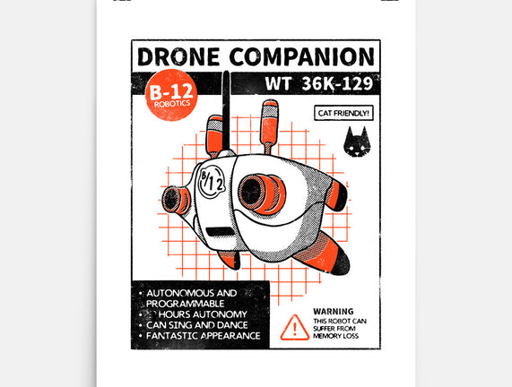 Drone Companion