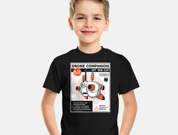Drone Companion