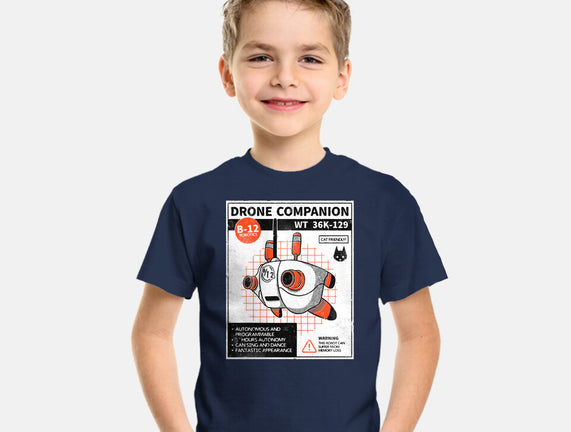 Drone Companion