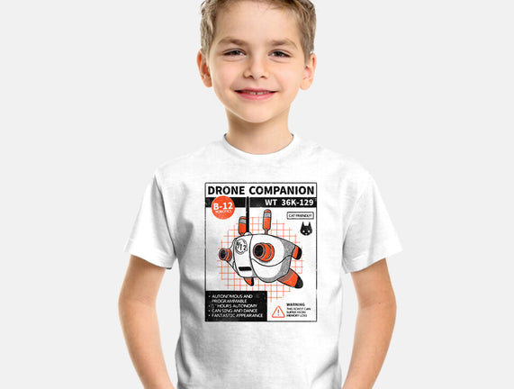 Drone Companion