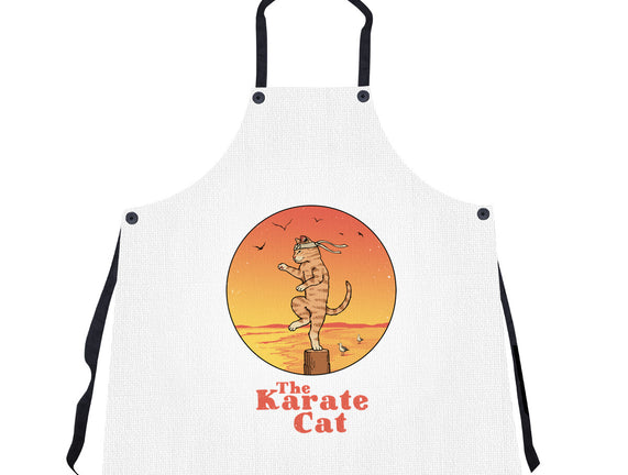 The Karate Cat