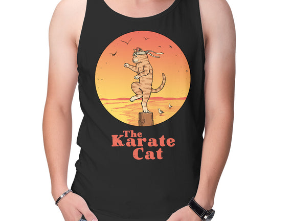 The Karate Cat