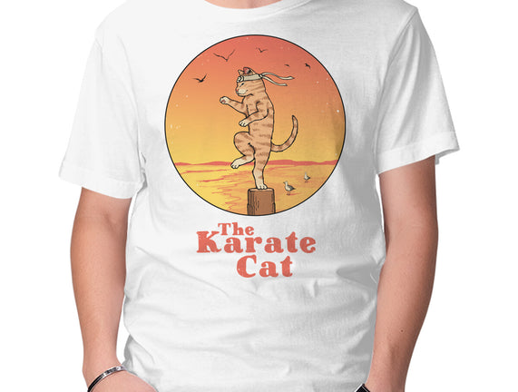 The Karate Cat