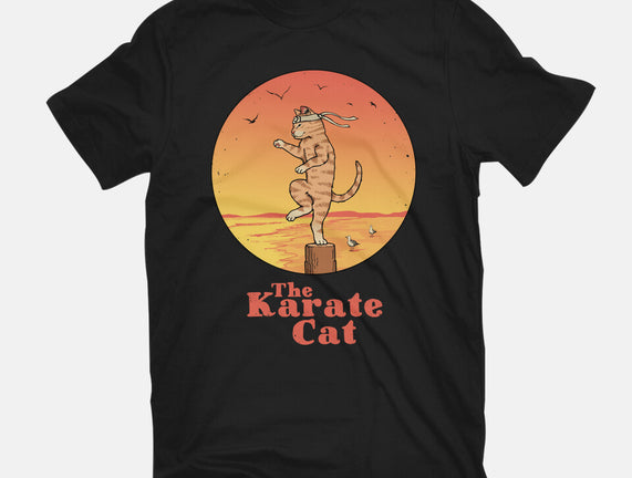 The Karate Cat