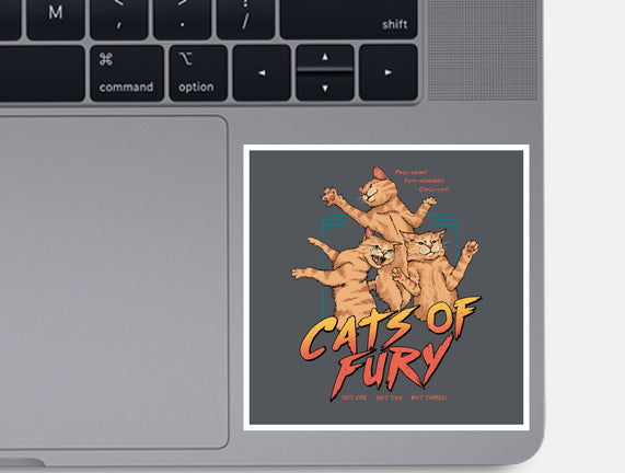 Cats Of Fury