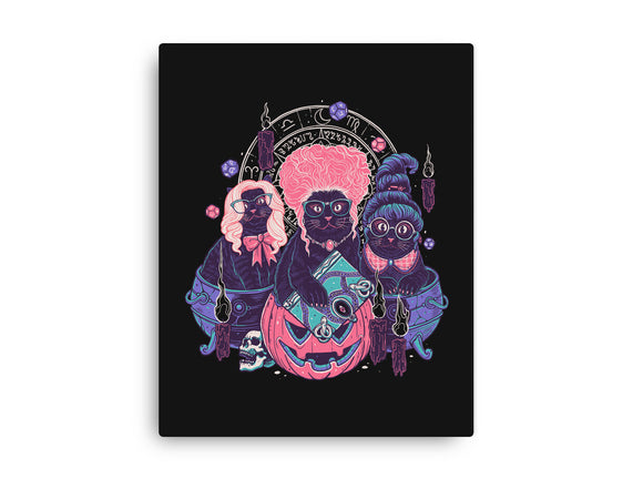Hocus Pawcus