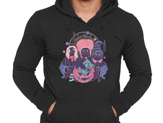 Hocus Pawcus