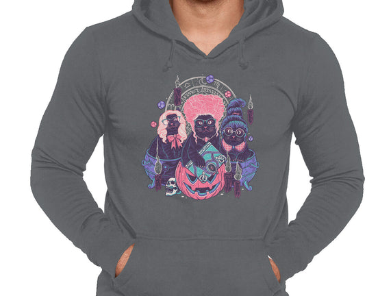 Hocus Pawcus