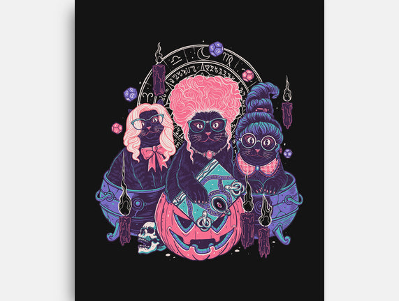 Hocus Pawcus