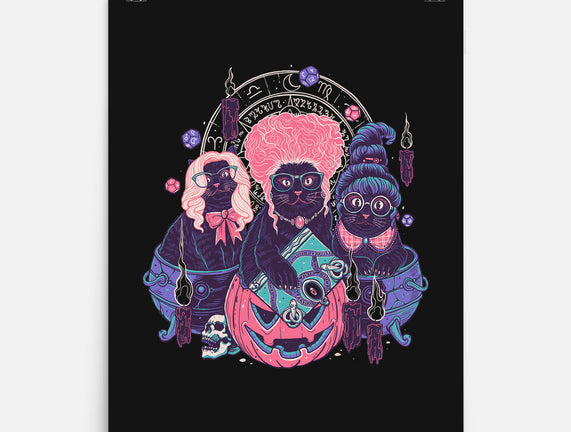 Hocus Pawcus