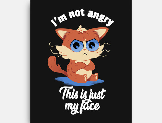 I’m Not Angry