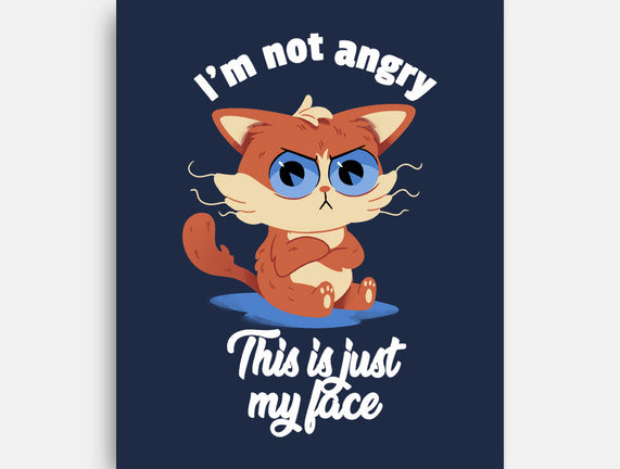 I’m Not Angry