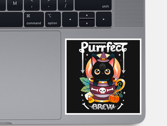 Purrfect Brew