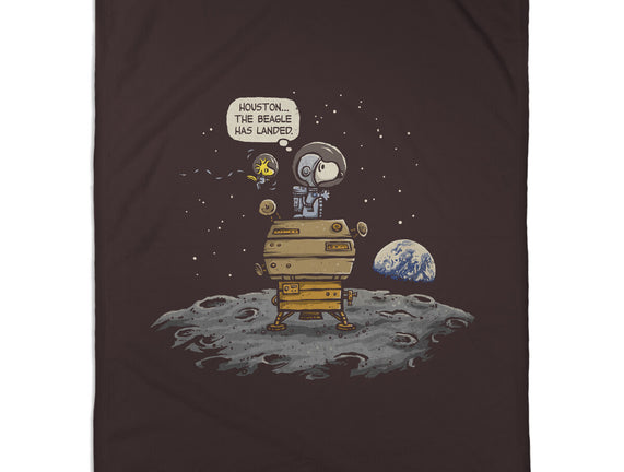 The Beagle Has Landed