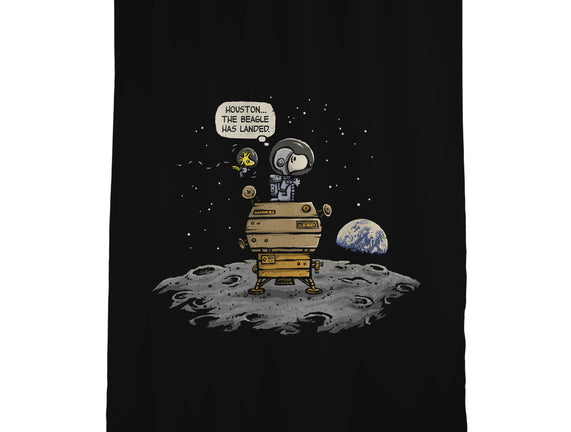 The Beagle Has Landed