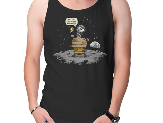 The Beagle Has Landed