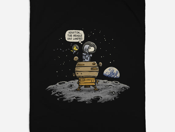 The Beagle Has Landed