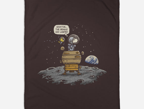 The Beagle Has Landed